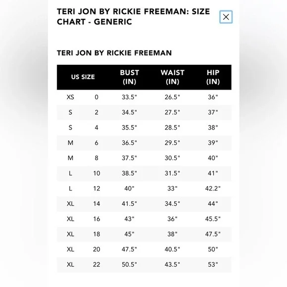 Teri Jon Rickie Freeman Midi Dress 4 Metallic Embroidered Puff Sleeve Event Gala